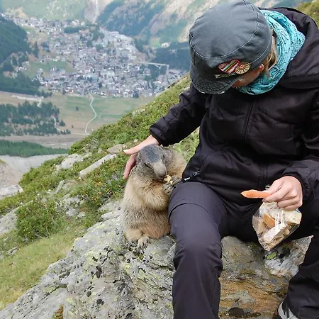 Allalinblick * Saas Fee