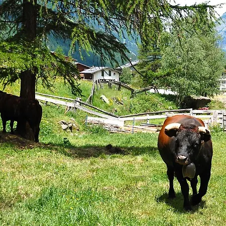 Apartman Allalinblick Saas Fee