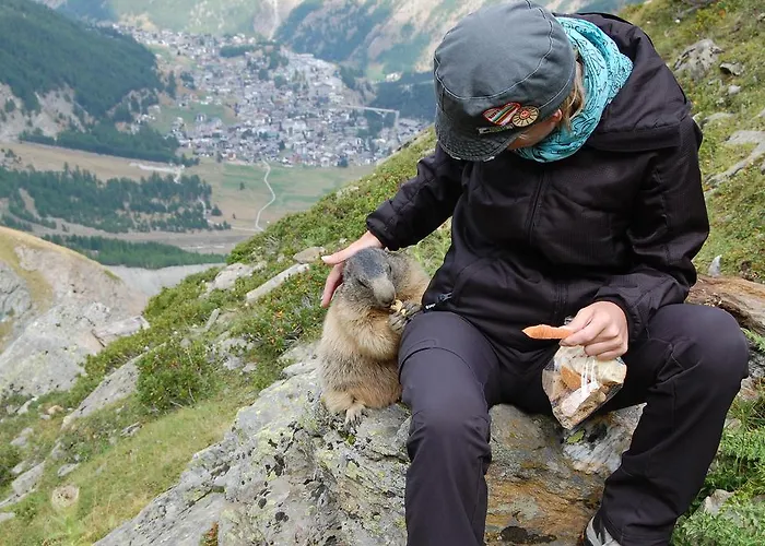 Allalinblick * Saas Fee