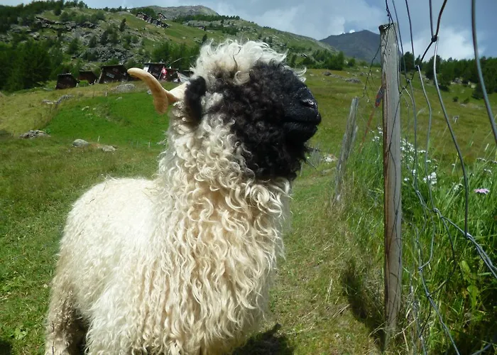 Apartmán Allalinblick Saas Fee
