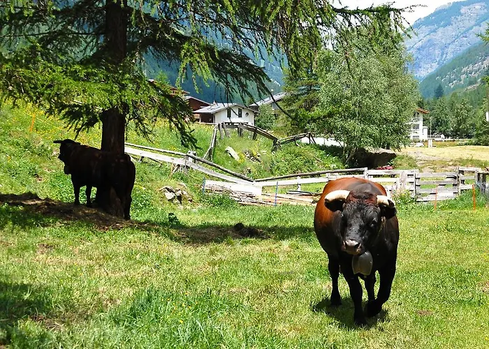 Apartmán Allalinblick Saas Fee