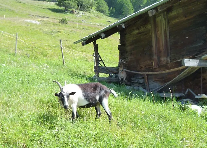 Allalinblick Saas Fee